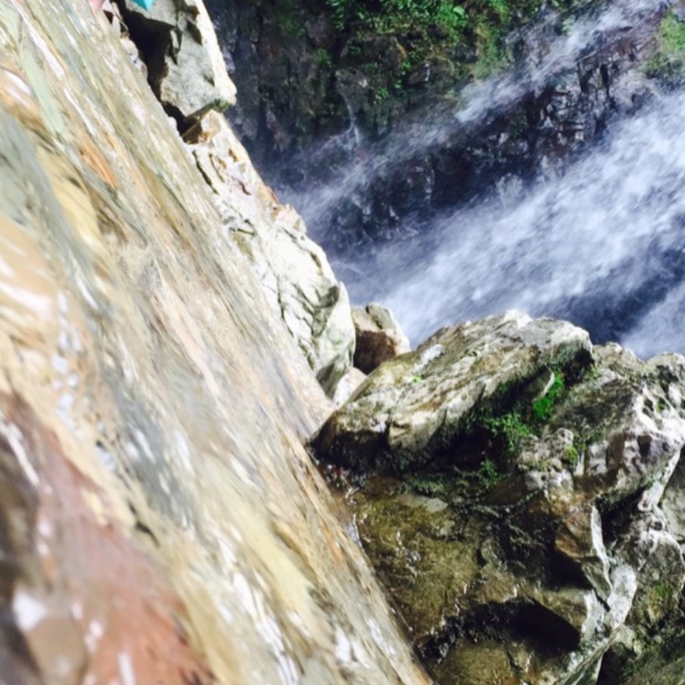 Meet your Posher, Ammie